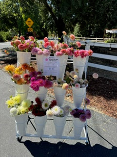 Farm Stand U-Select Your Own Stems